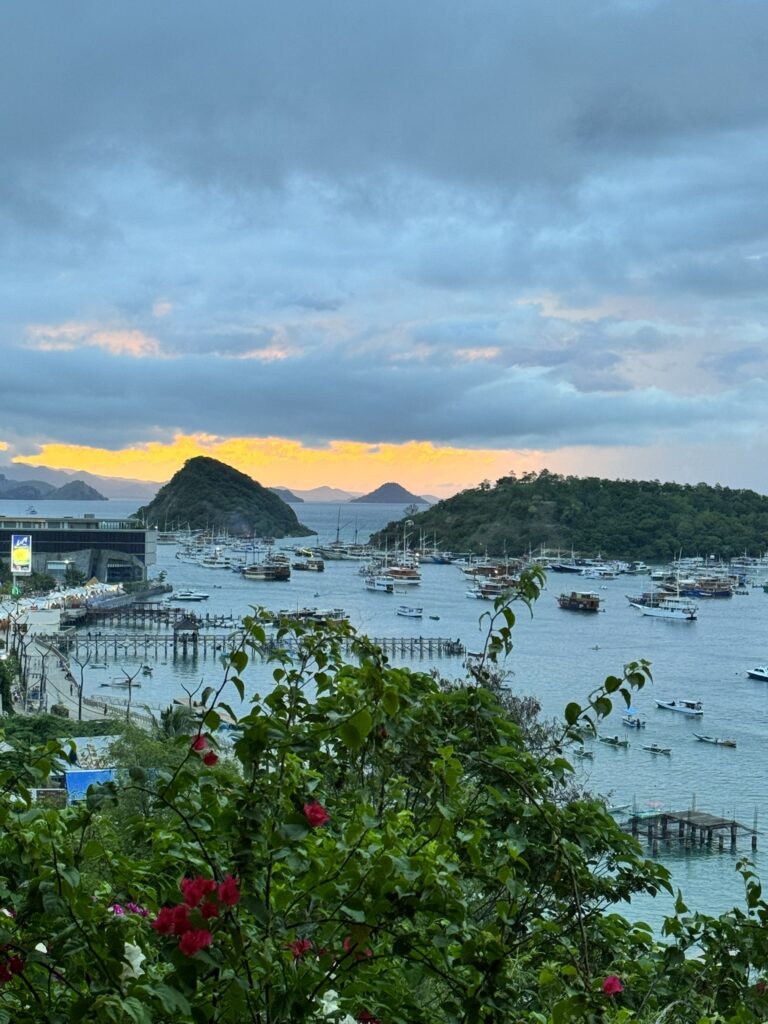 View of a picturesque harbor at sunset with numerous boats anchored in the water, surrounded by lush green hills and vibrant flowers in the foreground.