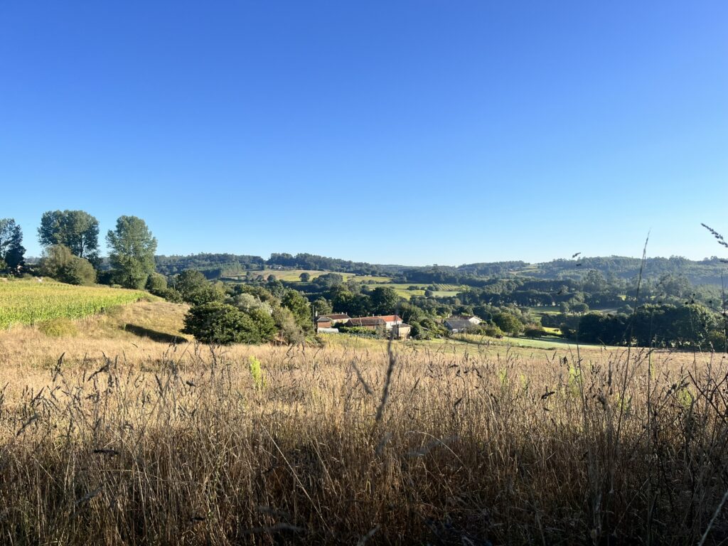 Scenic countryside view with golden fields, lush green trees, and rolling hills under a clear blue sky. A few houses are nestled in the valley, surrounded by farmland and natural beauty.